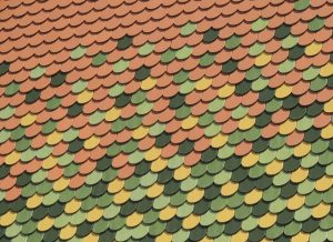 Read more about the article Important Things to Know about Different Roof Shingles
